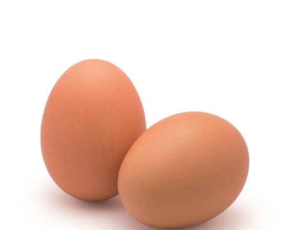 Cuántos huevos pone una gallina