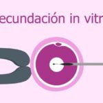 Cuanto dura el proceso de fecundación in vitro seguridad social