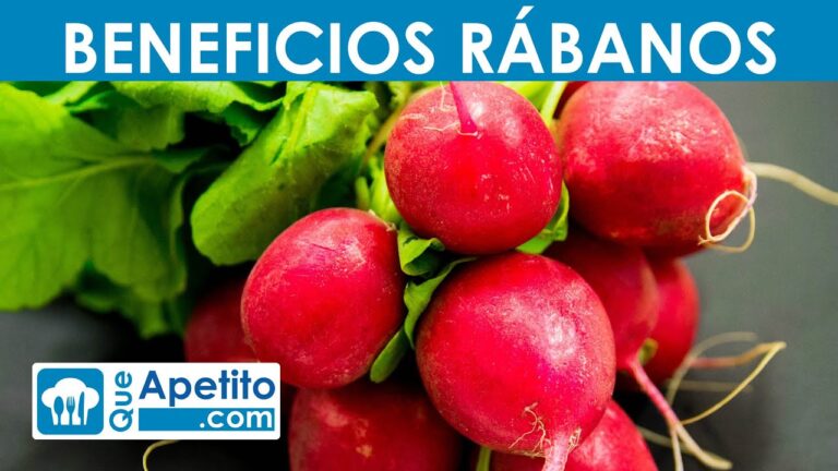 Descubre las sorprendentes propiedades de los rabanitos rojos en tu dieta