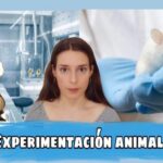 Por qué los argumentos a favor de experimentar con animales podrían no ser suficientes