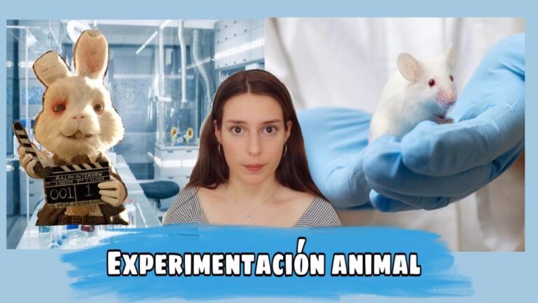 Por qué los argumentos a favor de experimentar con animales podrían no ser suficientes
