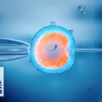 ¿Sabes cuánto duran los embriones congelados? Descubre el tiempo máximo aquí