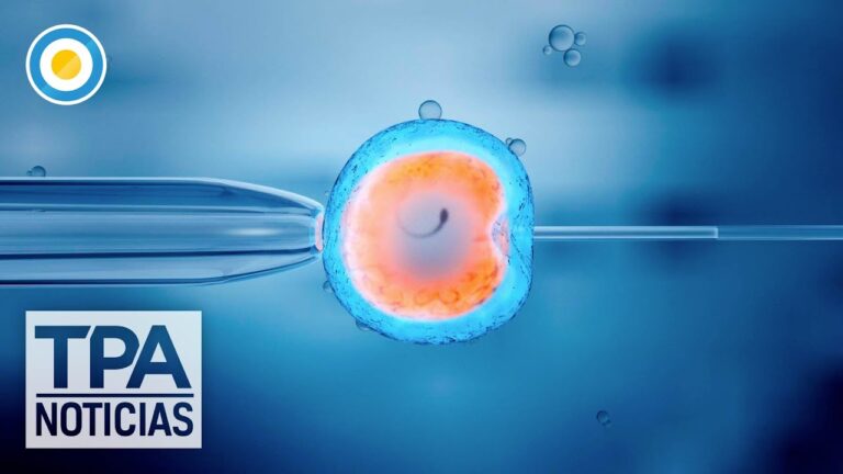 ¿Sabes cuánto duran los embriones congelados? Descubre el tiempo máximo aquí