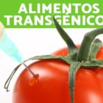 Descubre las ventajas de los alimentos transgénicos para tu salud