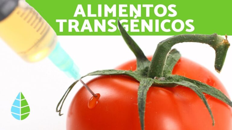 Descubre las ventajas de los alimentos transgénicos para tu salud