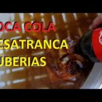 ¡Increíble! Coca Cola Desatasca Las Tuberías