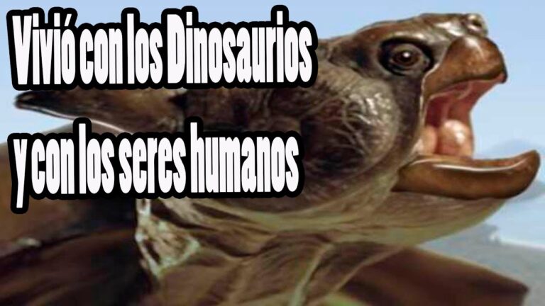 Descubren impresionante tortuga prehistórica de 4 metros de longitud