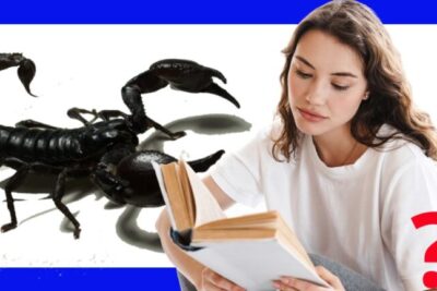 Biblia: ¿Qué revelan los sueños con escorpiones?