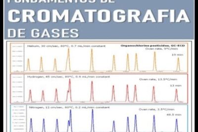 Cromatografía de gases: eficiente método de separación
