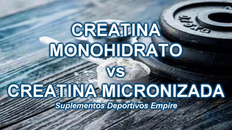 Descubre las grandes diferencias entre creatina monohidratada y micronizada