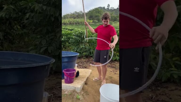Descubre cómo limpiar un tanque de agua sin vaciarlo: métodos efectivos