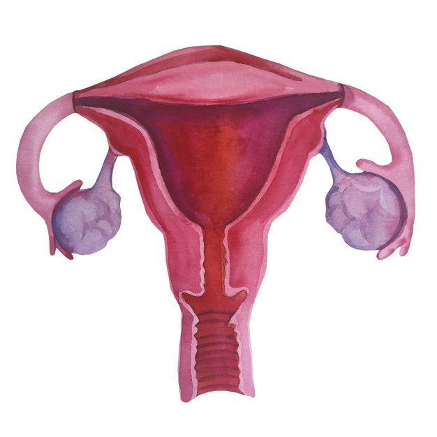 ¿Es posible revertir la ligadura de trompas y lograr el embarazo deseado?