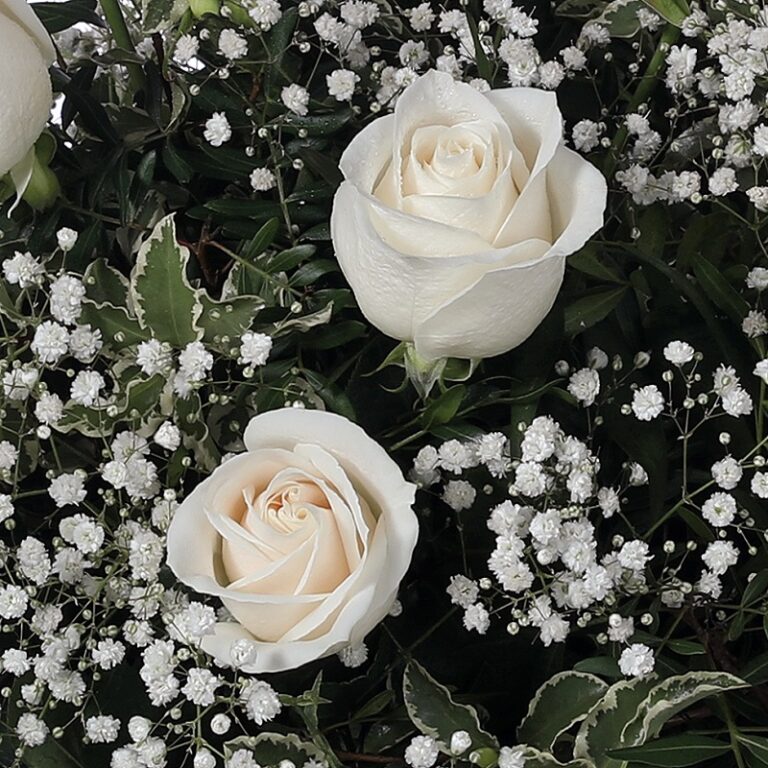 La elección adecuada de flores para un funeral: mensajes de amor y respeto en momentos difíciles